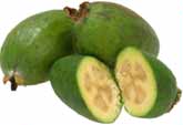 How to Successfully Grow Feijoas